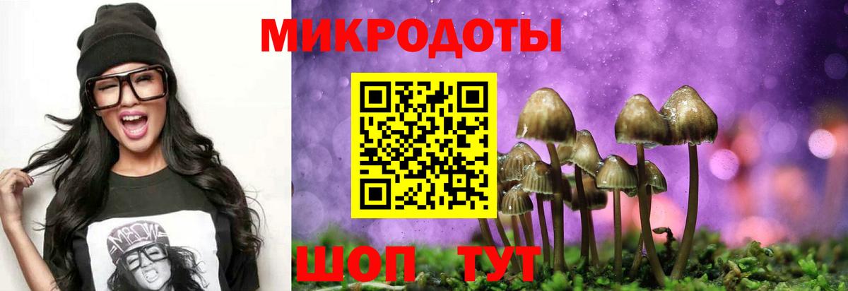 Жуковский  Псилоцибиновые грибы Cubensis  Вход с VPN 
